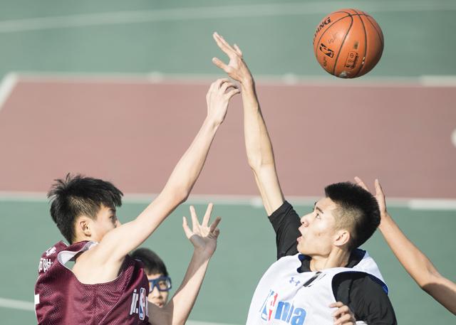 怡红院官网