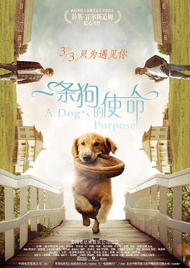 亚洲色综合