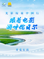 危险的小姨子