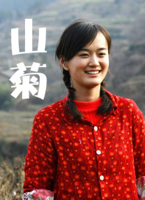 六度tv